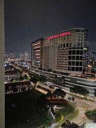 Blk 11 Farrer Park View (Kallang/Whampoa), HDB 4 Rooms #576804541